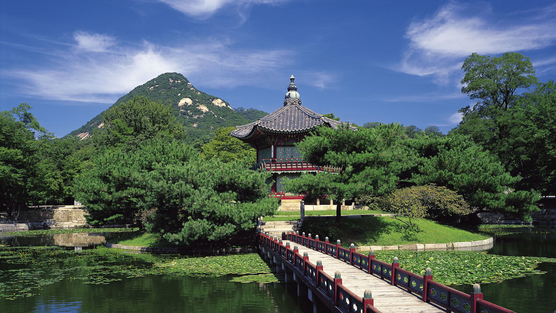 世界举重康复师资认证第三期招生简章发布，世界举重青年锦标赛